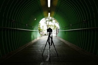 Rear view of man walking in tunnel