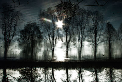Bare trees on snow covered landscape
