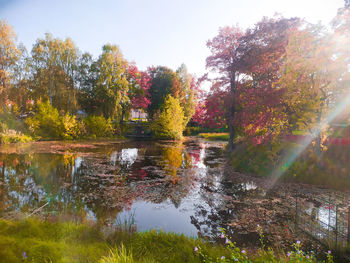 Trees by lake against sky during autumn