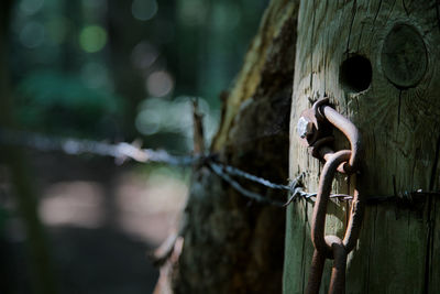 Close-up of metal tied on wooden post