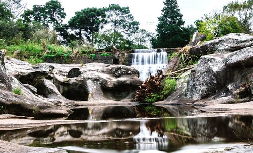 Scenic view of waterfall