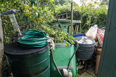 Garbage by plants