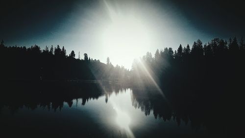 Reflection of trees in calm lake