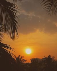 Palm trees at sunset