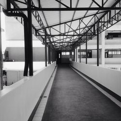 Empty road along trees