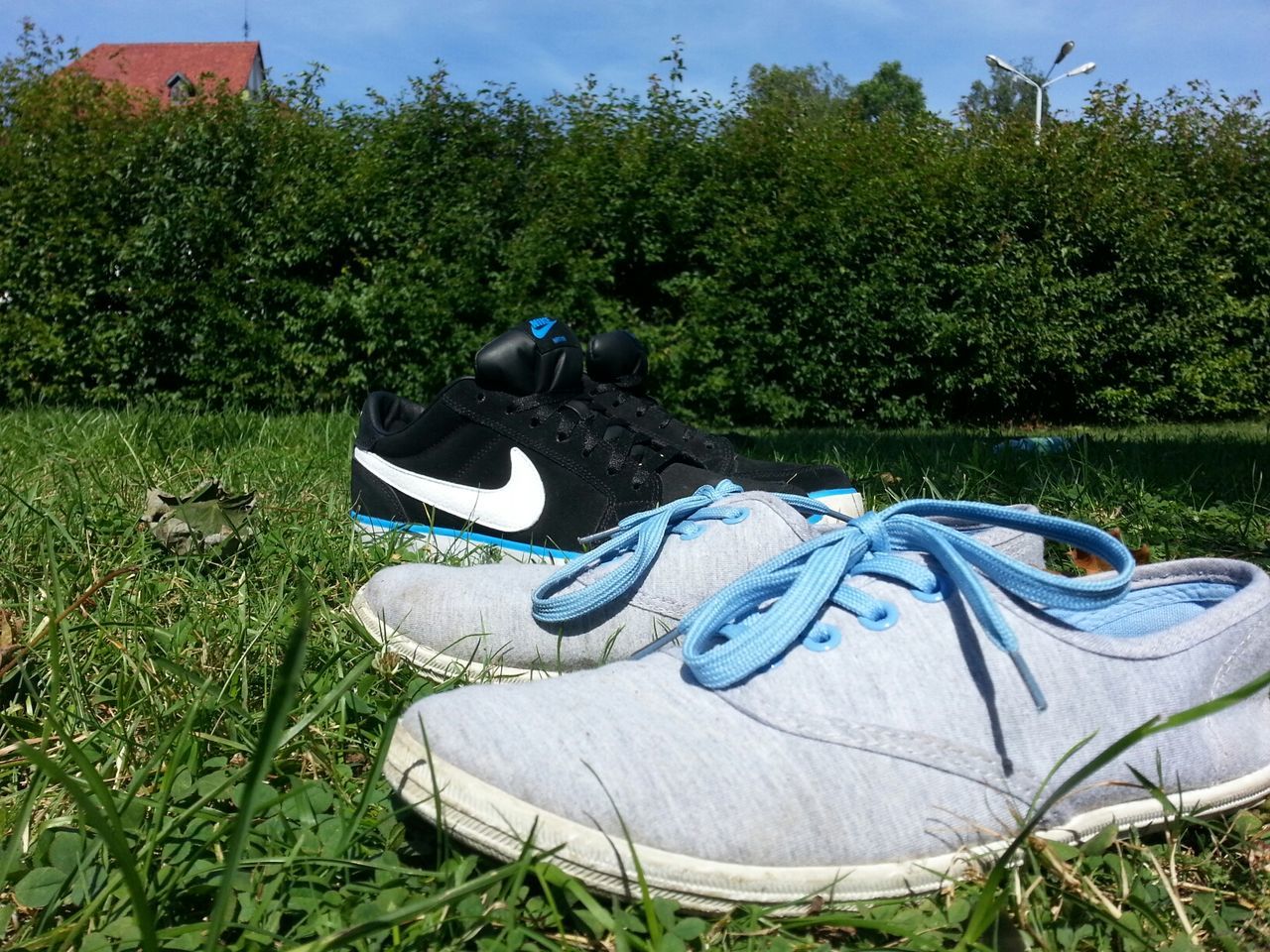 grass, tree, field, green color, grassy, outdoors, day, abandoned, nature, growth, plant, sunlight, no people, shoe, art and craft, art, sky, transportation, mode of transport, blue