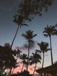 Low angle view of silhouette coconut palm trees against sky