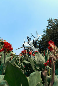 Close-up of red flowering plants against sky