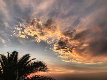 Low angle view of silhouette palm tree against romantic sky