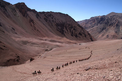 High angle view of people riding horses on mountain