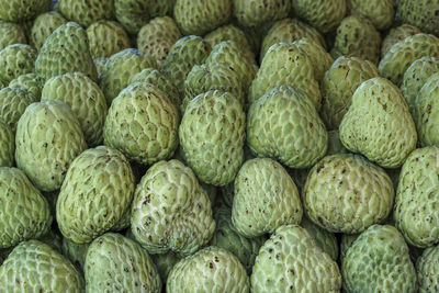 Full frame shot of fruits for sale in market