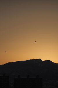 Silhouette of bird flying in city against clear sky