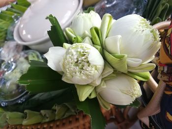 Close-up of white flower for sale