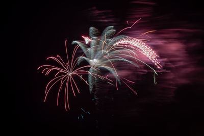 Low angle view of firework display at night