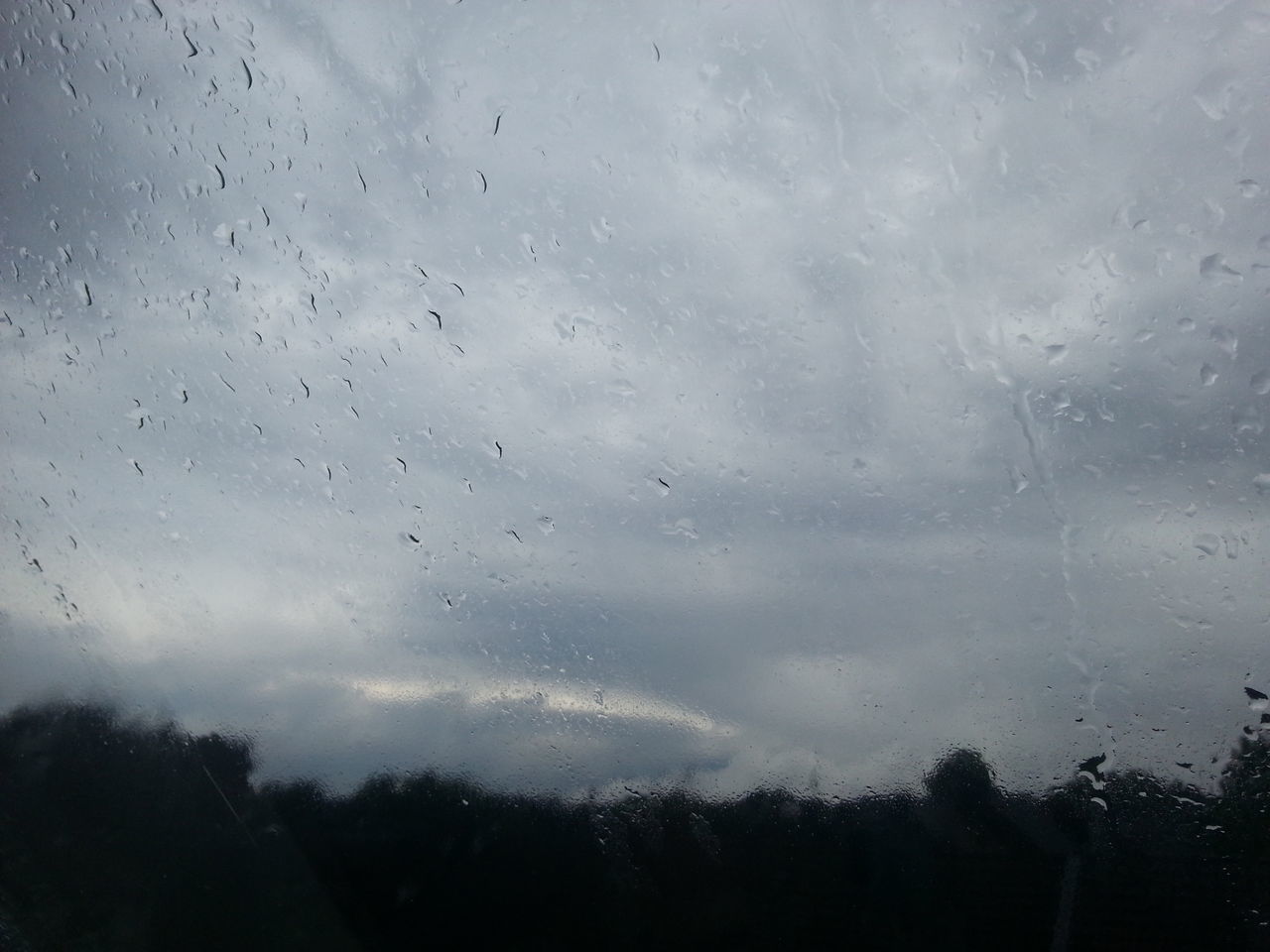 tree, sky, weather, silhouette, drop, rain, nature, cloud - sky, beauty in nature, wet, transparent, water, tranquility, window, dusk, scenics, tranquil scene, low angle view, raindrop, cloudy