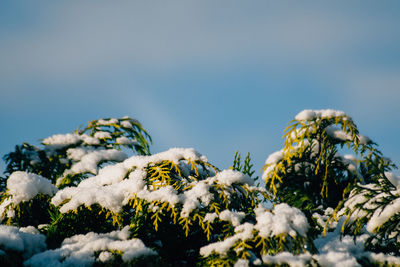 Snow covered landscape against clear sky