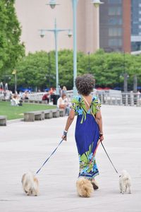 Rear view of woman walking with dogs on footpath