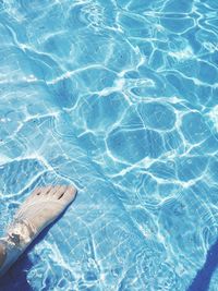 High angle view of swimming pool