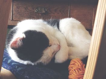 Cat sleeping on tiled floor