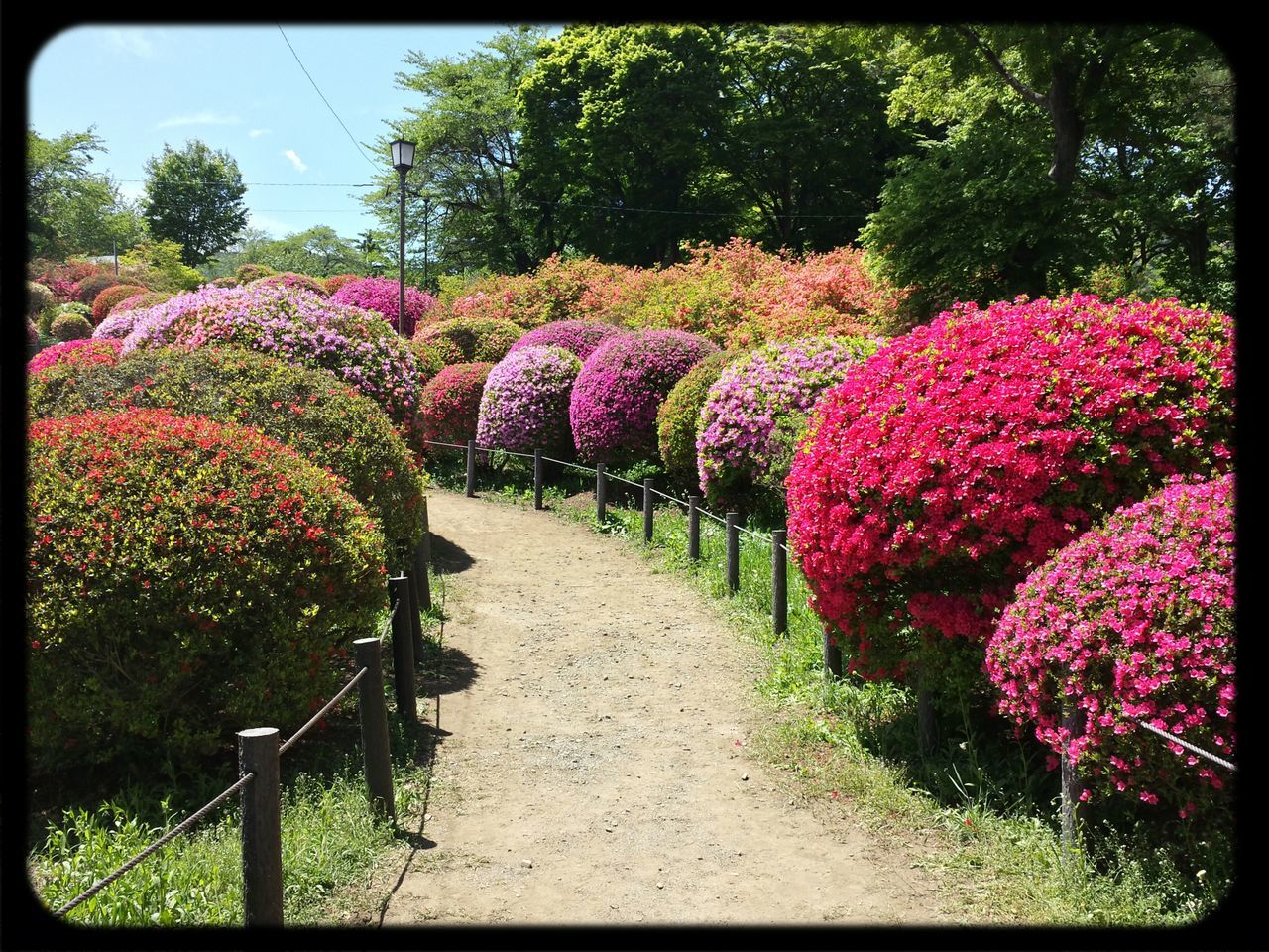 富士見高原病院