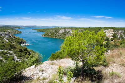 High angle view of trees against blue sky