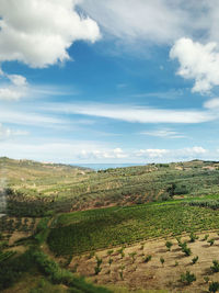 Scenic view of agricultural field against sky