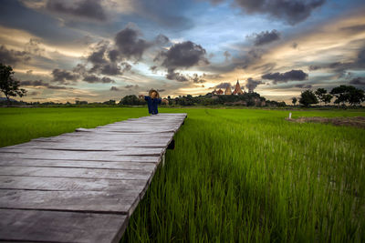 Scarecrow on pier over rice paddy against sky during sunset