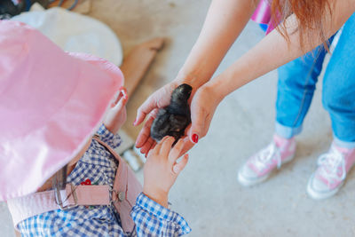 Low section of people sitting on pink hands