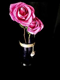 Close-up of pink flower against black background