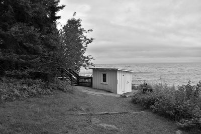 Trees and buildings on beach against sky