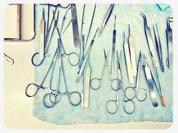 Close-up of food on table