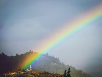 Rainbow over trees against sky