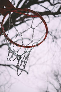 Close-up of bare tree