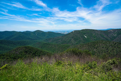 Scenic view of landscape against sky