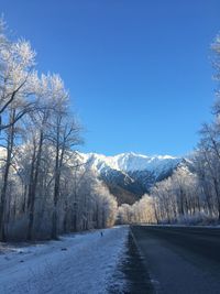 Road amidst trees against clear sky during winter