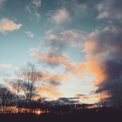 Silhouette trees on field against sky at sunset