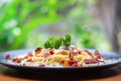 Close-up of food in plate