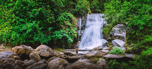 Scenic view of waterfall in forest