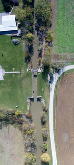 High angle view of road by trees