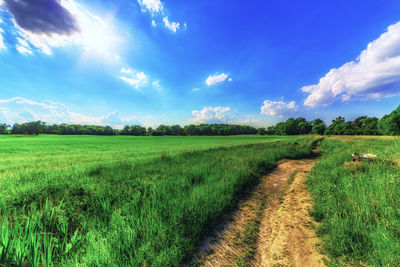 Scenic view of agricultural field against sky