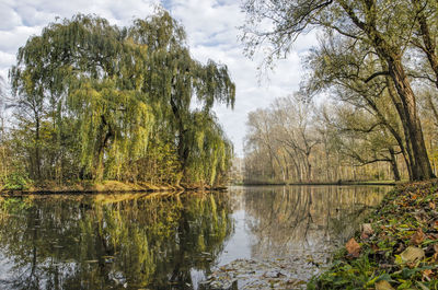 Scenic view of lake in forest against sky