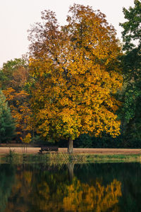 Trees by lake against sky during autumn