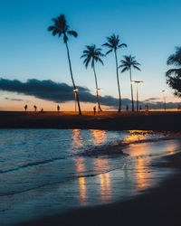 Palm trees on beach against clear sky