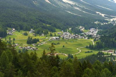 High angle view of trees and houses on mountain