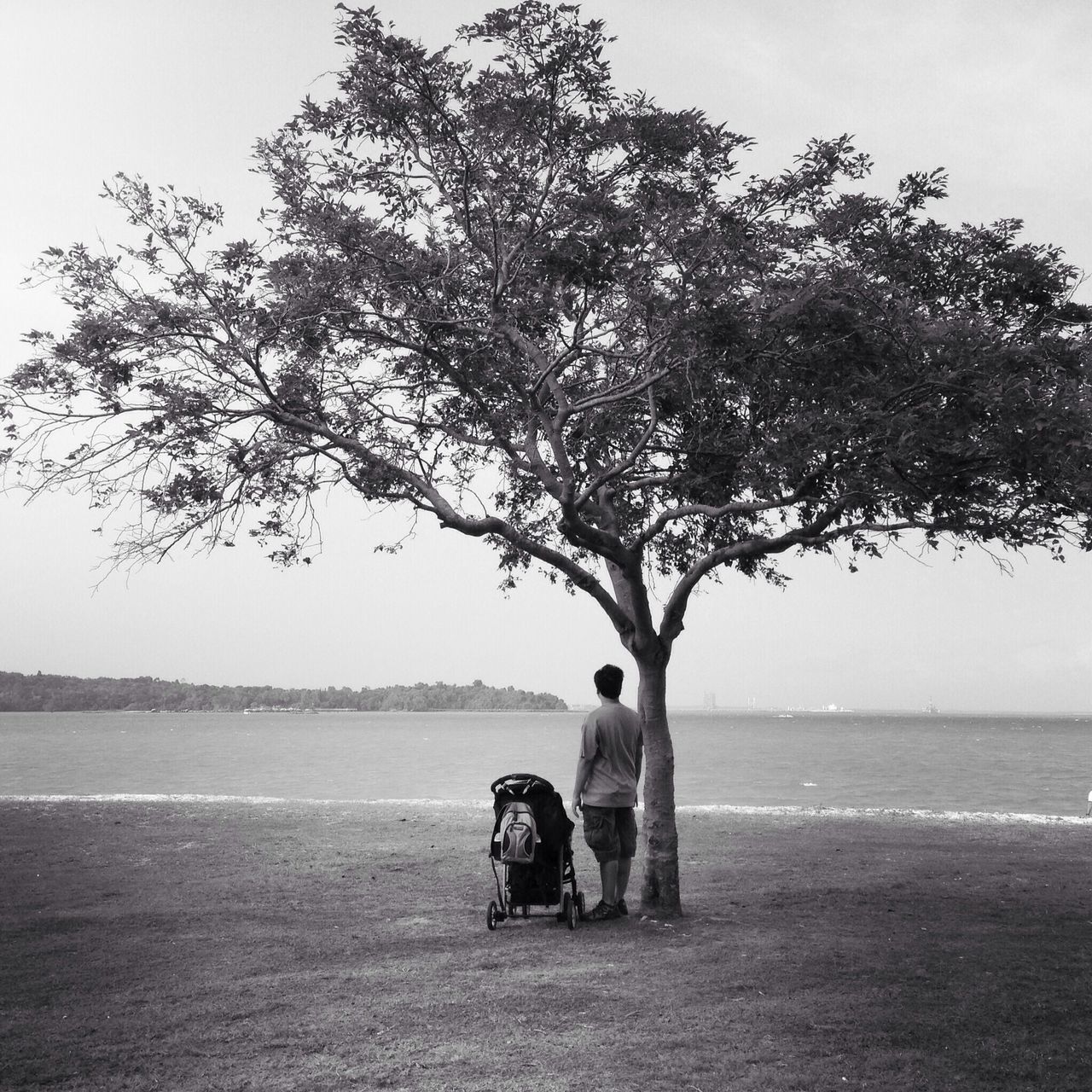 tree, water, sea, horizon over water, beach, sky, tranquility, rear view, tranquil scene, nature, lifestyles, full length, clear sky, leisure activity, scenics, men, shore, beauty in nature