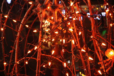 Illuminated string lights at night