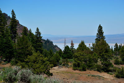 Scenic view of trees and mountains against clear sky