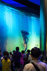 People swimming in aquarium