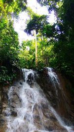 View of waterfall in forest