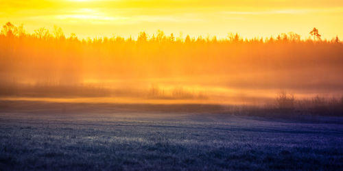 A beautiful misty springtime sunrise over the rural area in northern europe.